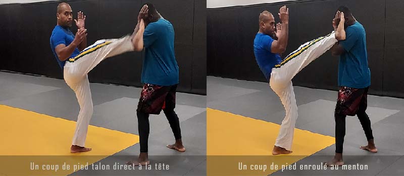 https://mbdacademy.com/wp-content/uploads/2022/03/moringue-slider-8.jpg